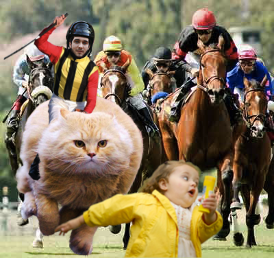 Photo of Thomas Bassetto riding a cat